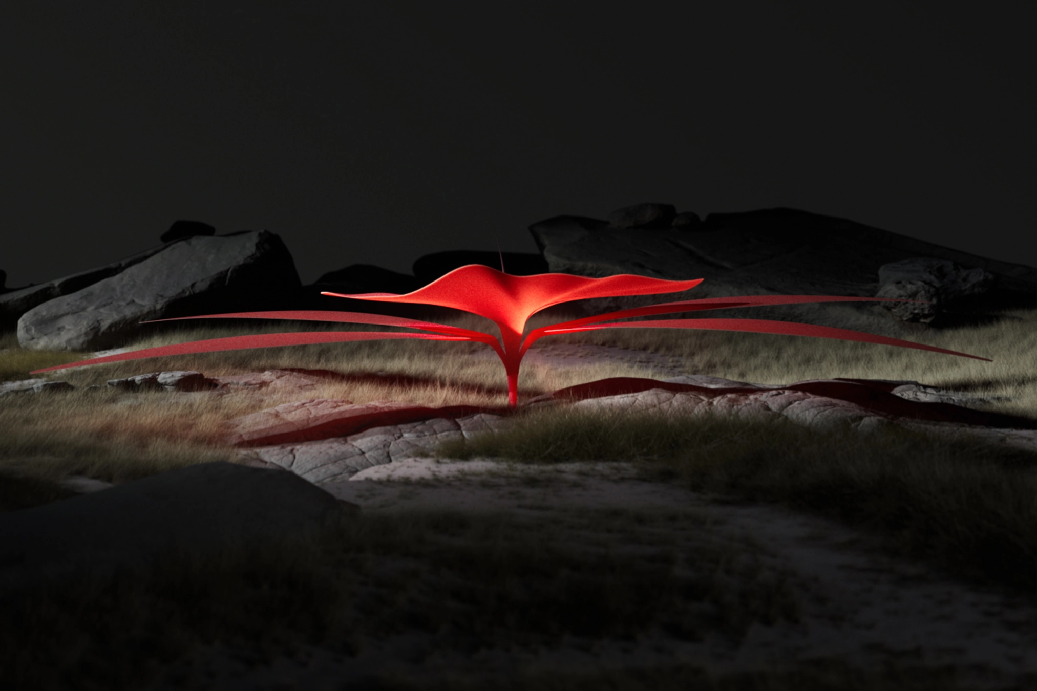 Expansion of a new reality